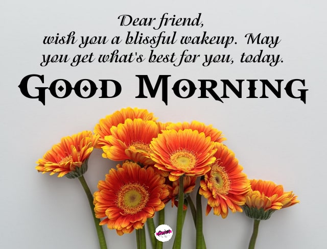 30 Good Morning wishes and SMS for a friend
