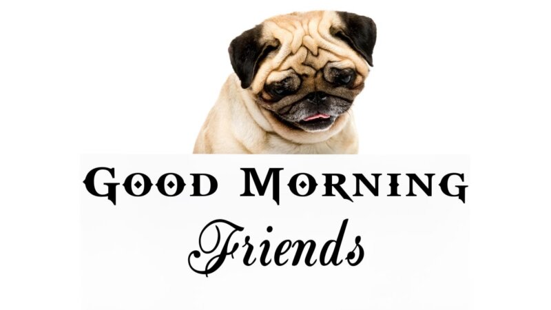 30 Good Morning wishes and SMS's for a friend - Good Morning Images