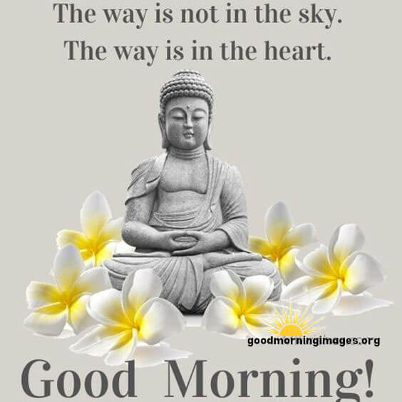 25 Morning Blessings from Buddha Ji