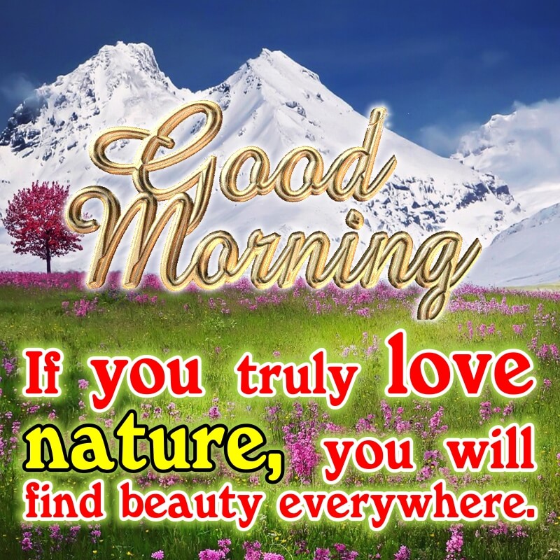 50 Beautiful Good Morning Images with Nature Quotes