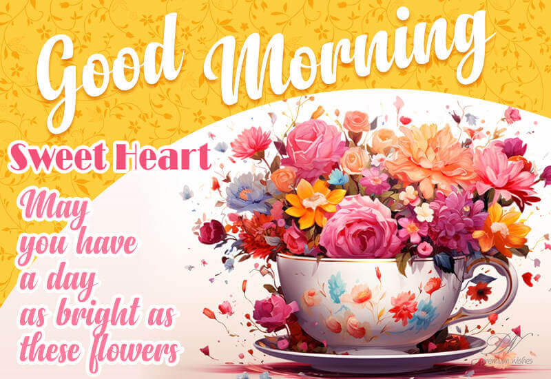 50 Good Morning Sweetheart Images With Beautiful Images and Messages