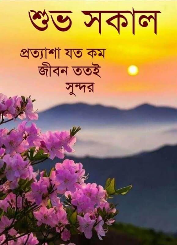51 Beautiful Bengali Good Morning Images Good Morning Images